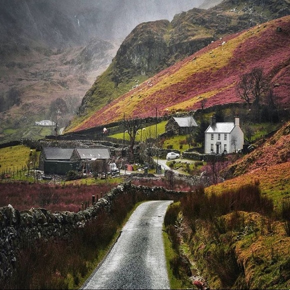 Meet your Posher, M - Picture 1 of 1